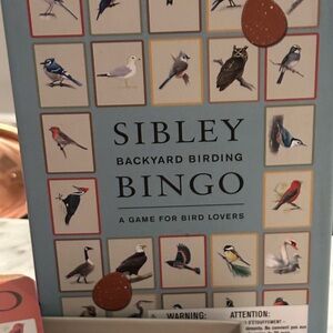 Backyard Birding Bingo Game - Blue and Brown